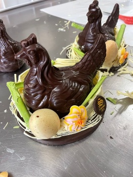 Gallina-cioccolato